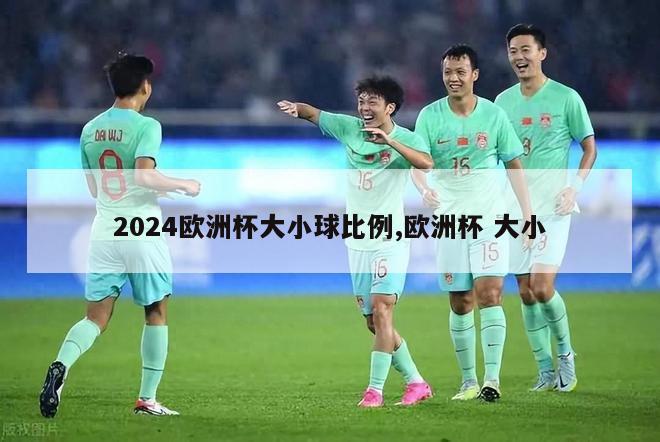 2024欧洲杯大小球比例,欧洲杯 大小