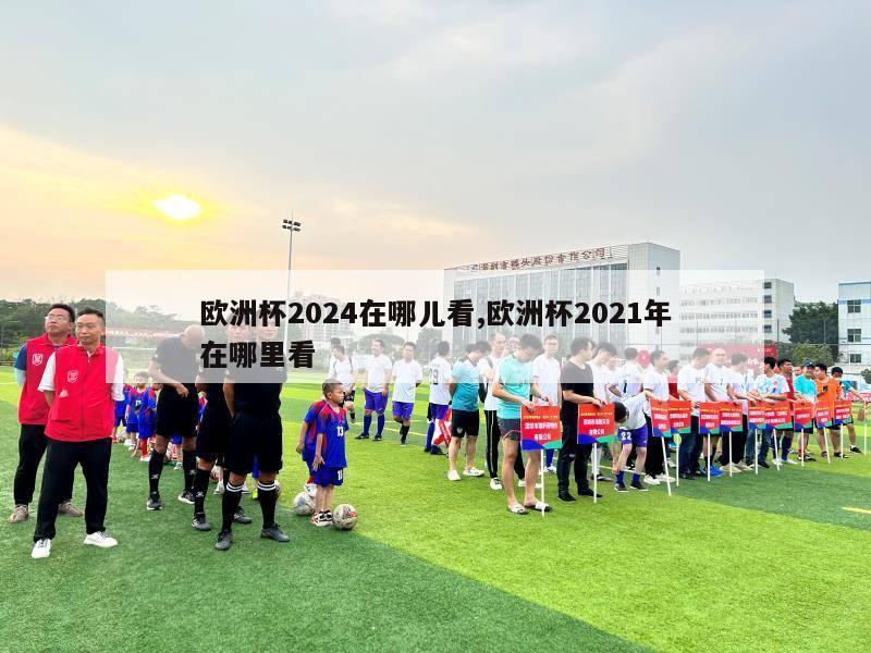 欧洲杯2024在哪儿看,欧洲杯2021年在哪里看