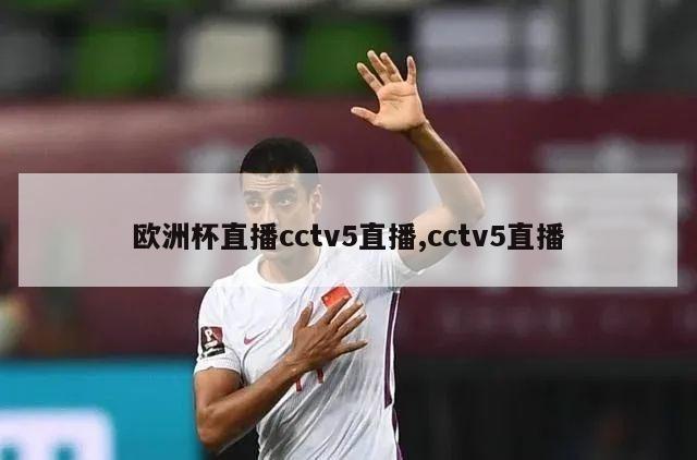 欧洲杯直播cctv5直播,cctv5直播