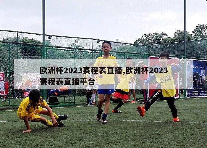 欧洲杯2023赛程表直播,欧洲杯2023赛程表直播平台